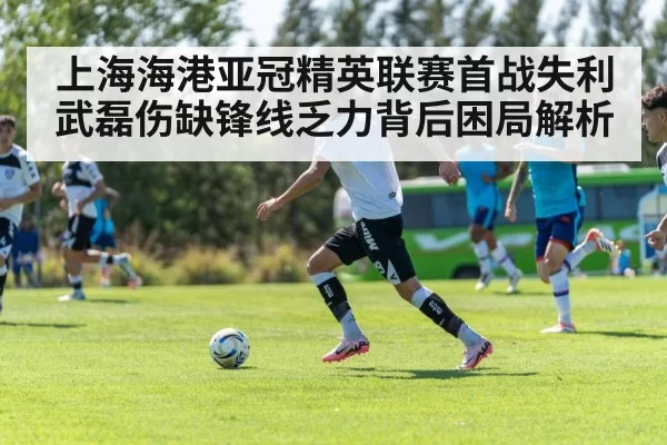 上海海港亚冠精英联赛首战失利武磊伤缺锋线乏力背后困局解析